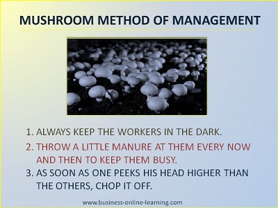 Mushroom Management Rules