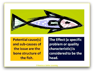 Explanation of The Fishbone Diagram