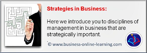 We aim with the Strategies in Business Section to highlight important disciplines